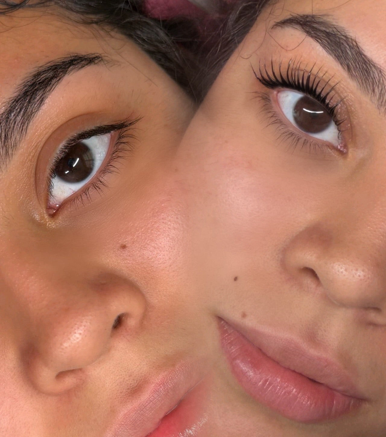 LBD PRO Lamination Kit / Lashes & Brows